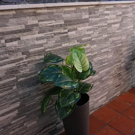 度假居 Vivenda Portela *